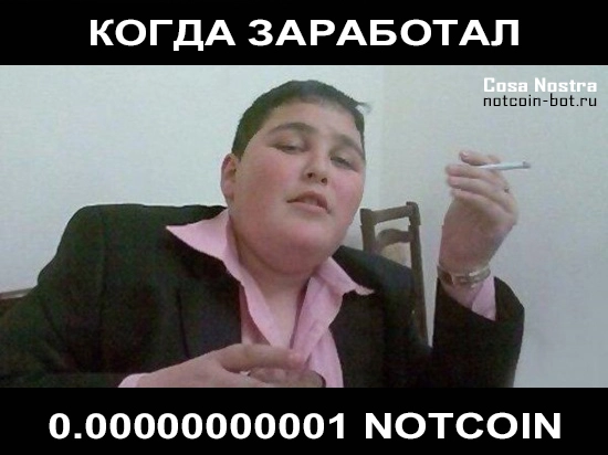 Когда заработал Notcoin