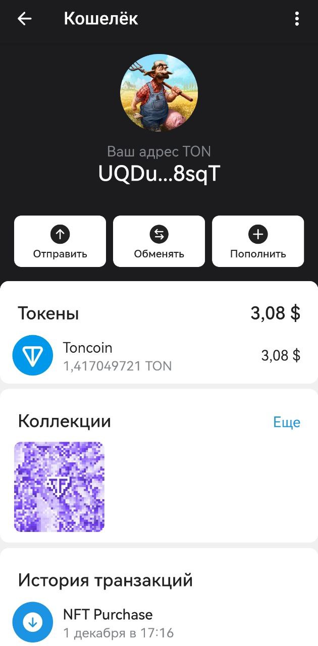 Скриншот кошелька TON Wallet